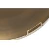 Decoy Serving Plate Iron Antique Brass - Image 5
